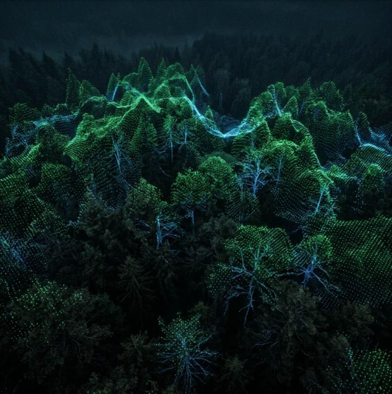 LiDAR point cloud over a forest canopy